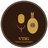 Voice to Instrument